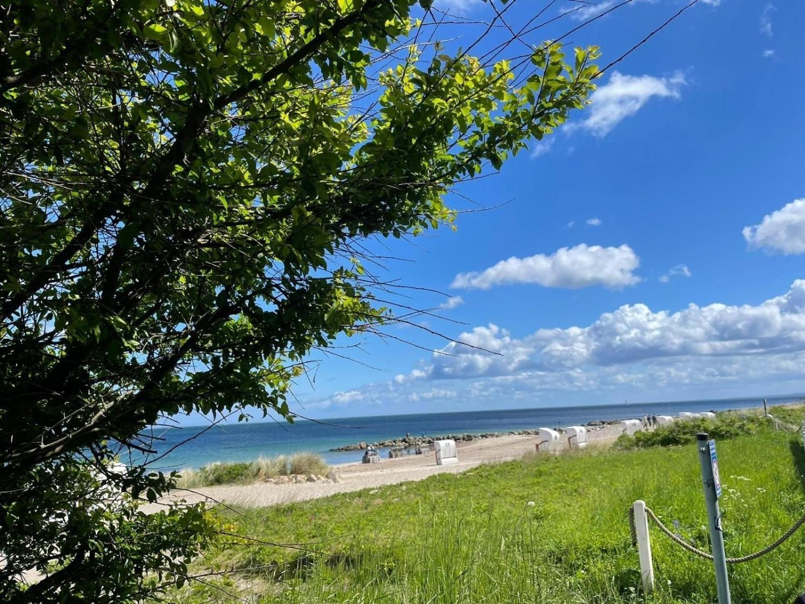 Ferien Am Strand, Urlaub An Der Ostsee Ferienwohnung Am Strand In Der Naehe Der Schlei, Umgebung Von Kappeln U Damp Brodersby-Goltoft Luaran gambar