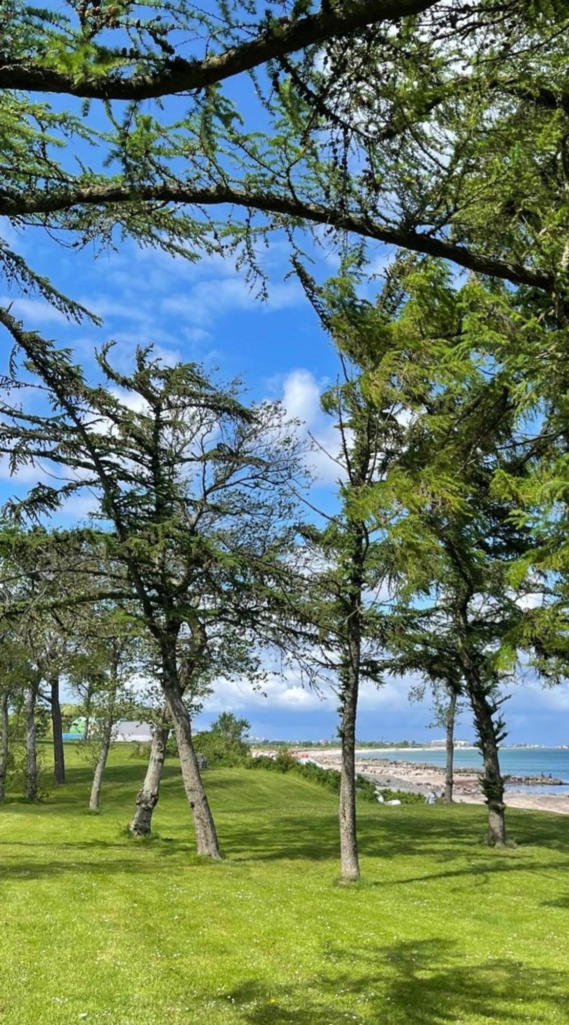 Ferien Am Strand, Urlaub An Der Ostsee Ferienwohnung Am Strand In Der Naehe Der Schlei, Umgebung Von Kappeln U Damp Brodersby-Goltoft Luaran gambar
